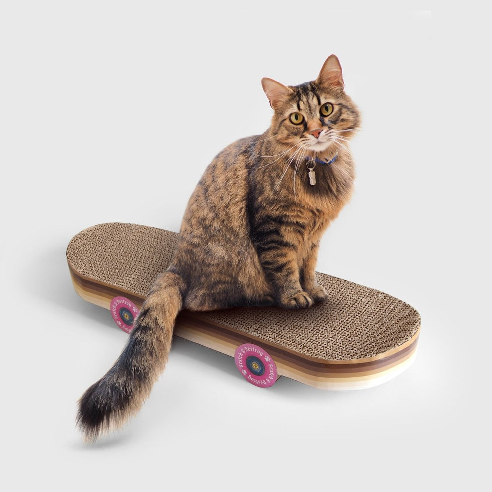 Cat Scratch Skateboard - BetterThanFlowers